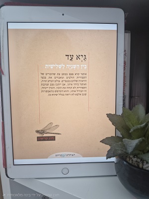 בין השנייה לשלישית